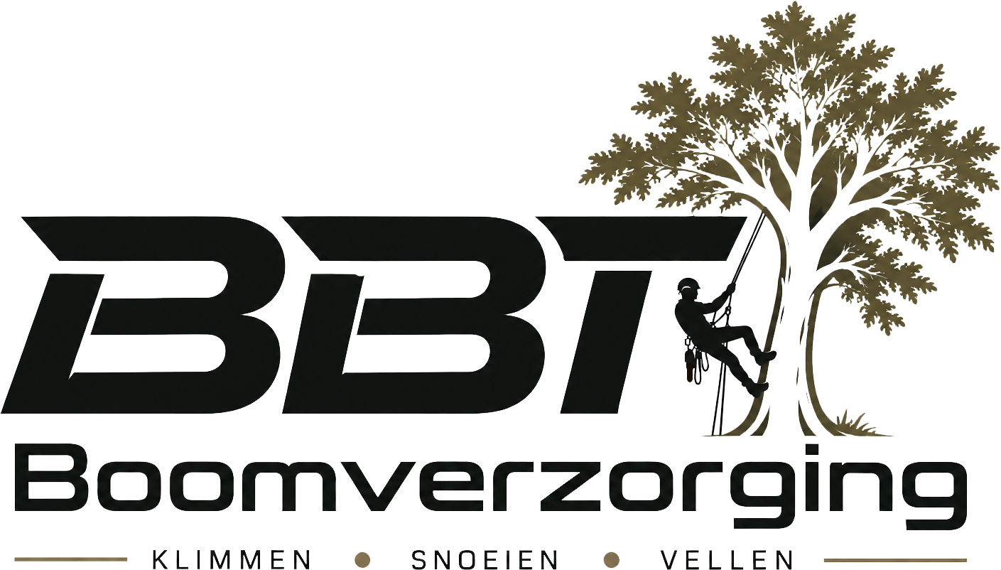 BBT Boomverzorging – Klimmen, snoeien, vellen