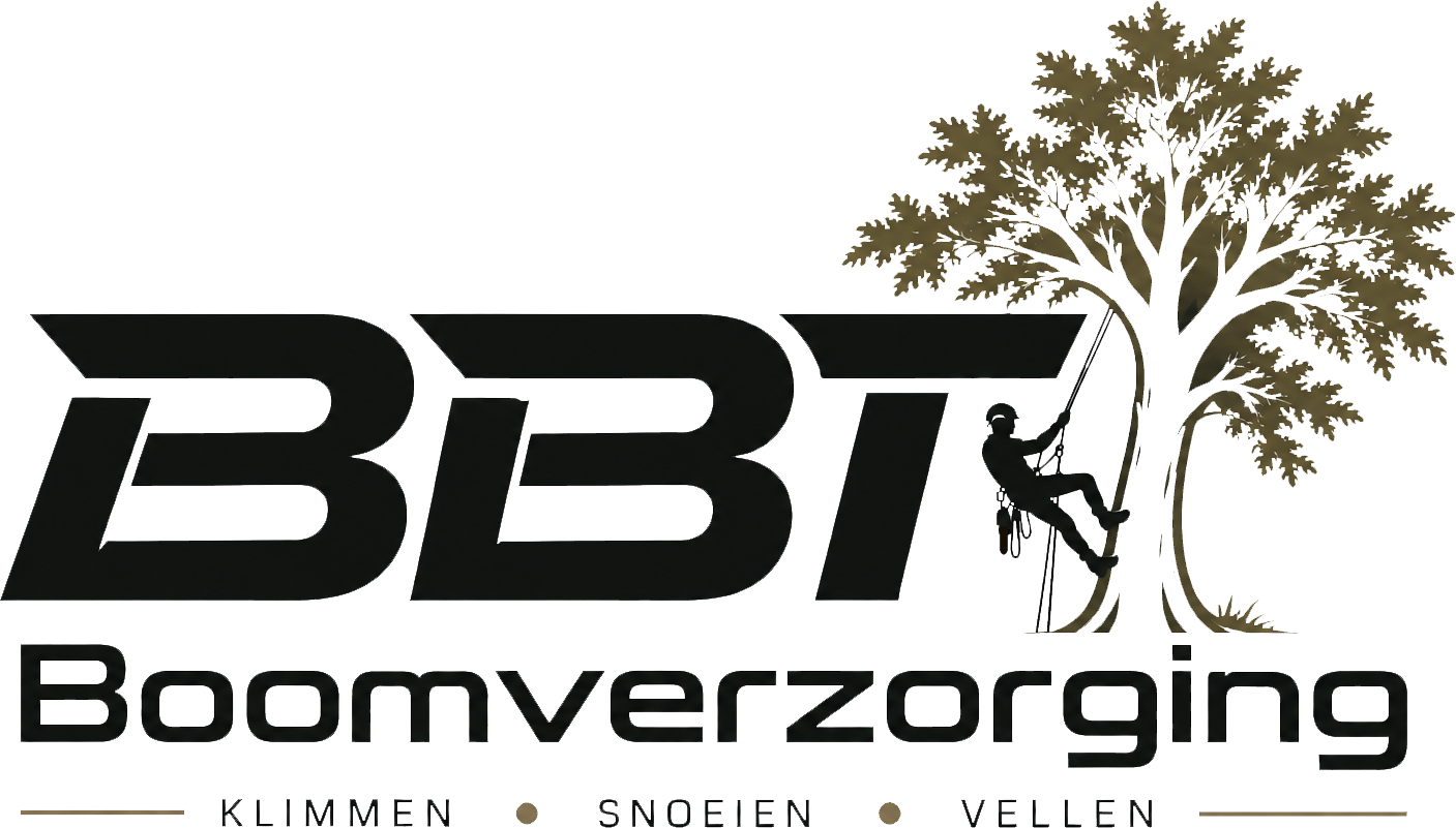 Logo BBT Boomverzorging